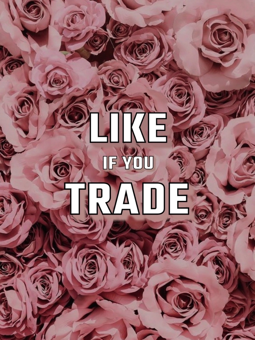 seeking trade friends 🪄✨